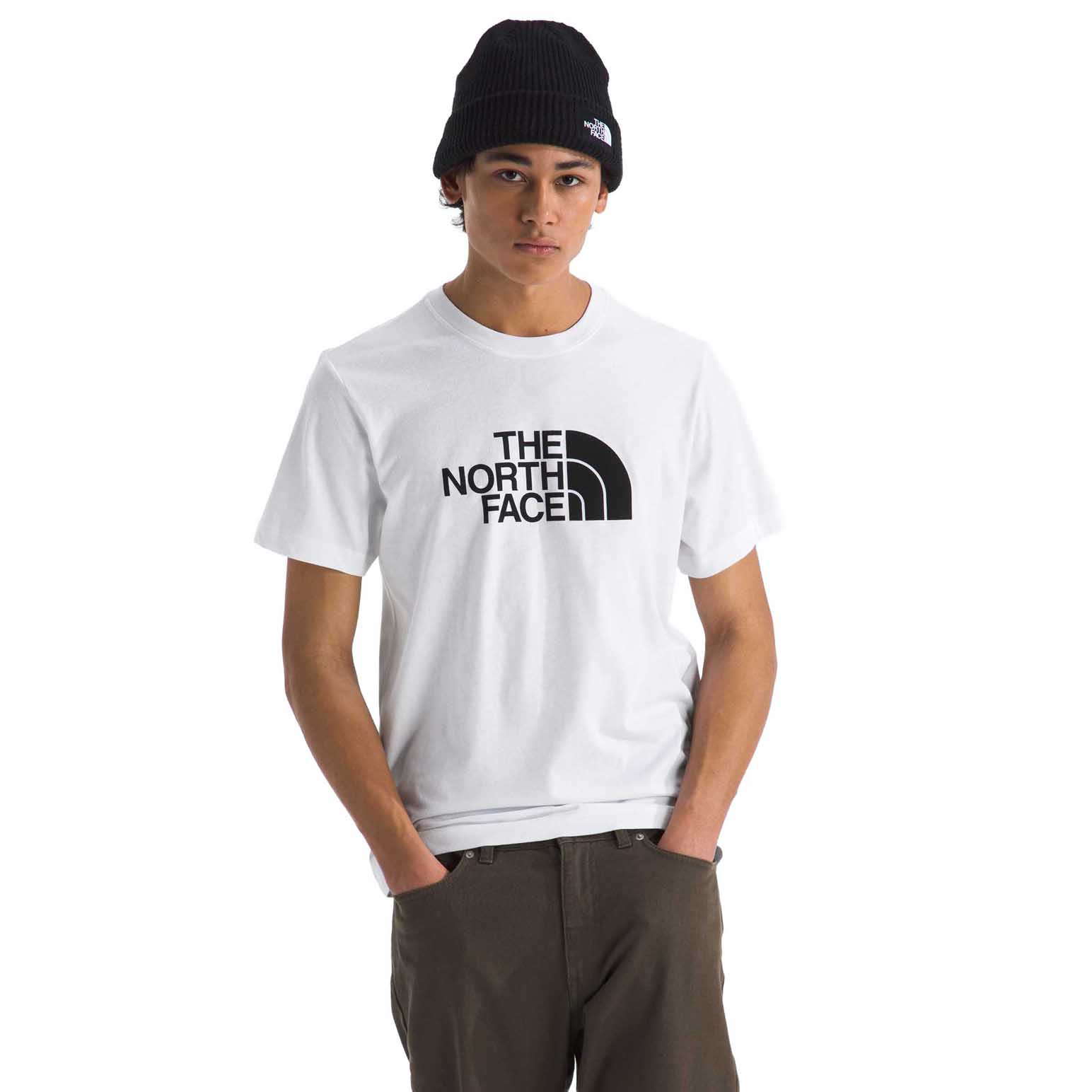 The North Face Men's Evolution Half Dome Regular Ss Tee